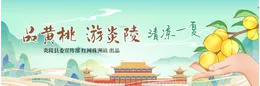 专题丨品黄桃 游炎陵 清凉一夏